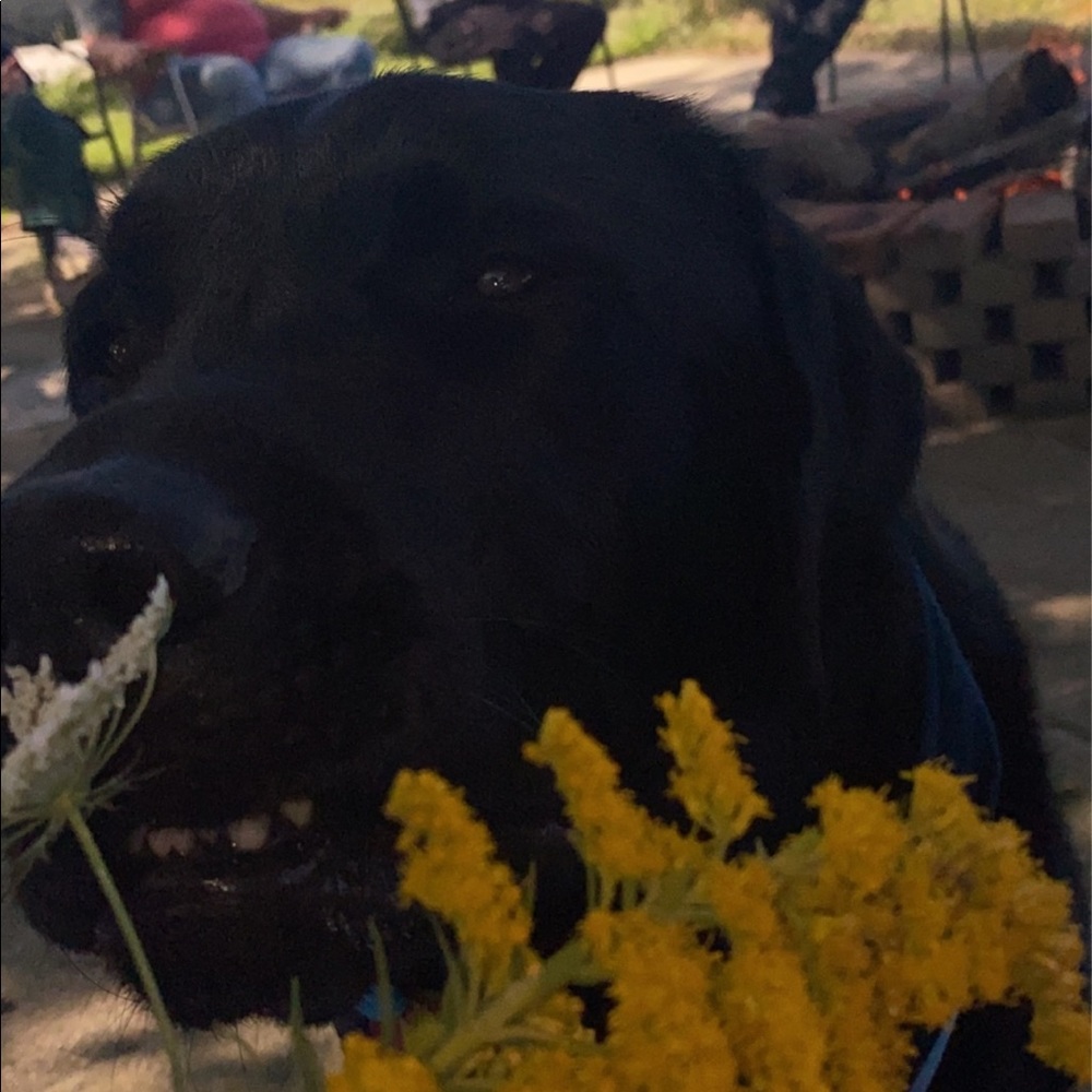 Meet your Posher, Aaliyah